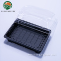 Disposable plastic food grade high quality sushi tray